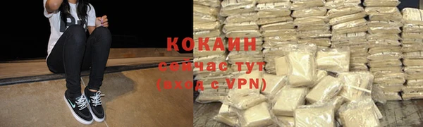 эйфоретик Аркадак