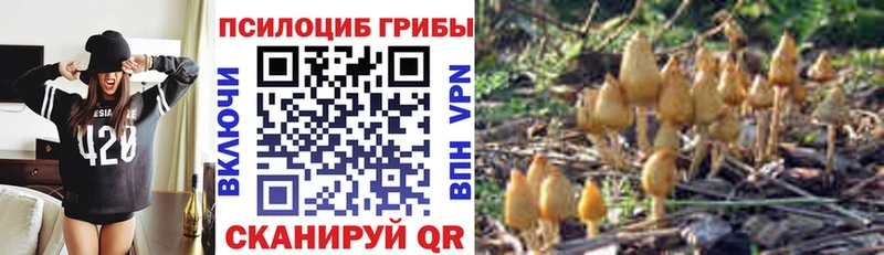 хочу наркоту  Сосенский  Псилоцибиновые грибы мицелий 